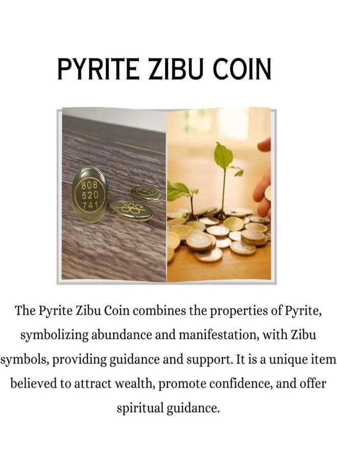 7vens Natural Pyrite Zibu Silver Coin Money Switch Peru Pyrite Money Switch Word and Zibu Symbol Coin Pocket Cabochone for Money Magnet Reiki Healing Vastu (pack of 1 with box) - Image 3