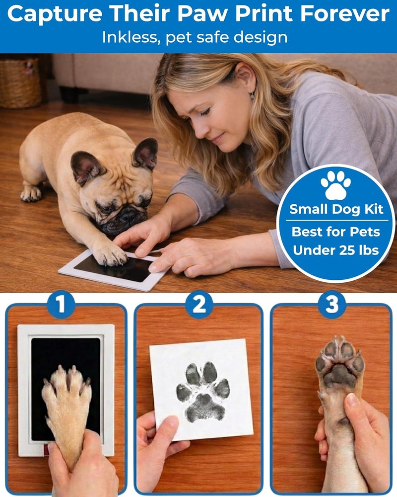 OtterPets Large Dog Urn for Ashes, 4 Customizable Displays with Paw Print Ink Kit, 8.5x8.5x5.8 Pet Urn for Dog Ashes, Pet Cremation Box, Cat Urn for Ashes, Dog Ashes Keepsake (Black Small) - Image 2