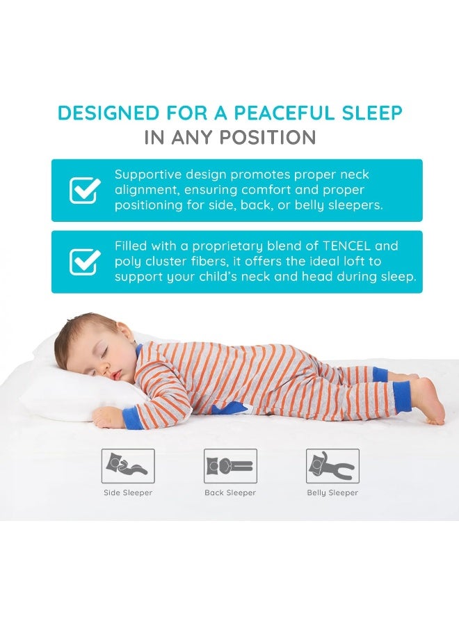 PUREgrace Tencel Toddler Pillow and Pillowcase Set â€“ Organic Cotton Shell, Washable and Soft for Kids Ages 2-5, Perfect Size for Travel (14â€ x 19â€) - Image 5