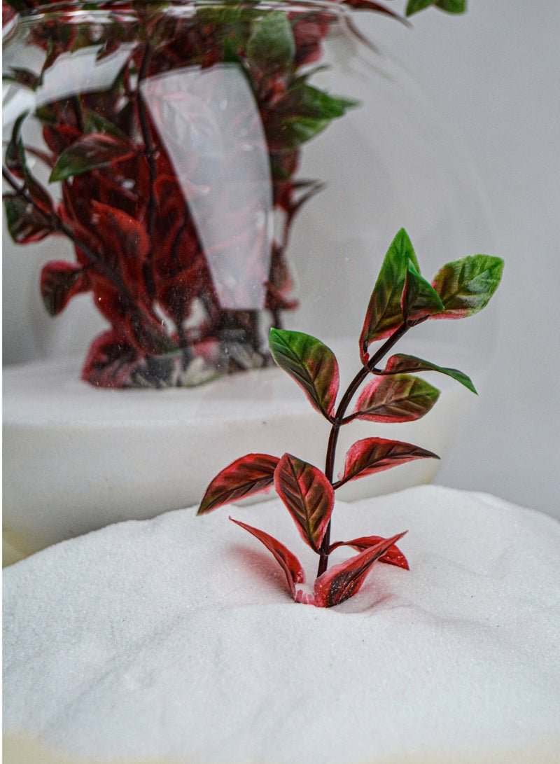 vsell24 2KG Fine White Sugar Sand – Perfect for Aquariums & Stylish Home Decor  - Image 2