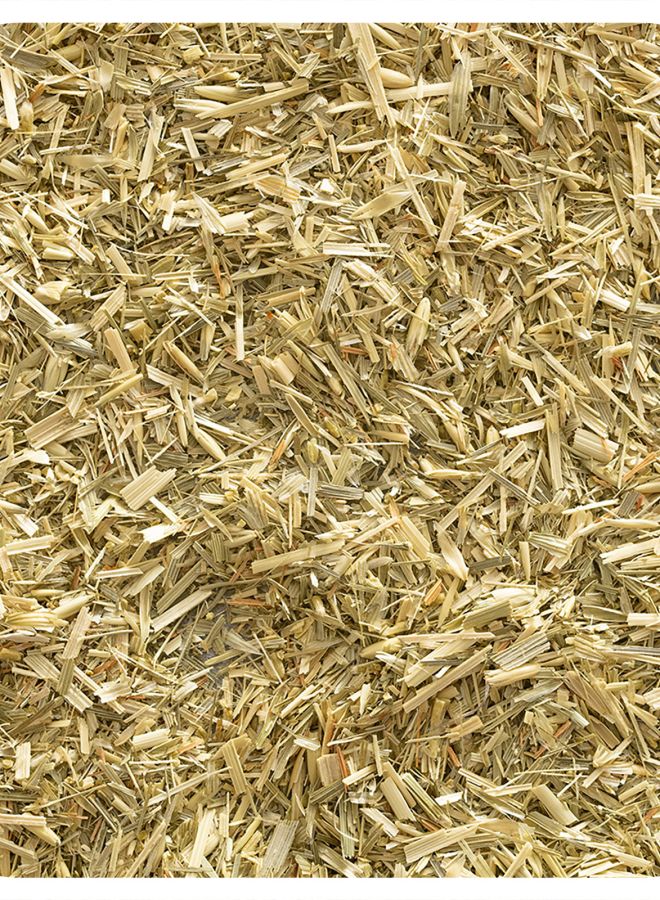 Frontier Co-op Organic Cut & Sifted Oat Straw Green Tops 16 oz (453 g)