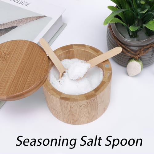 RDEXP Small Wooden Salt Spoons for Spice Jars Seasoning Honey Coffee Set of 50 - Image 3
