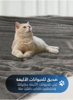 سيد المنسوجات المنزلية بطانية مخمل خفيفه بمقاس مفرد، سلسلة مورا، 350 جم/متر مربع، 230 × 170 سم، صوف إضافي فائق النعومة لجميع فصول السنة، يستخدم كغطاء للسرير بطانيات .  - Image 4