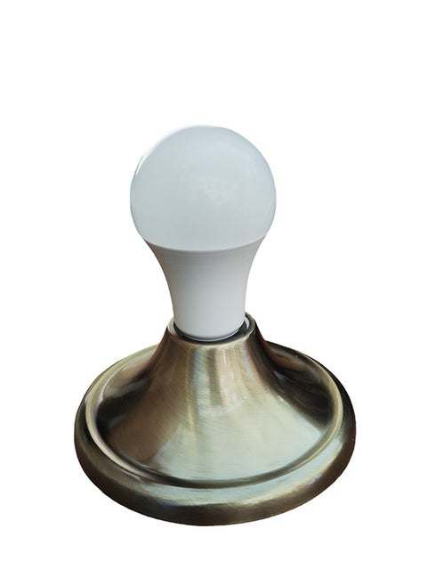 Wall and Ceiling Bulb Holder Thread Type Without Bulb