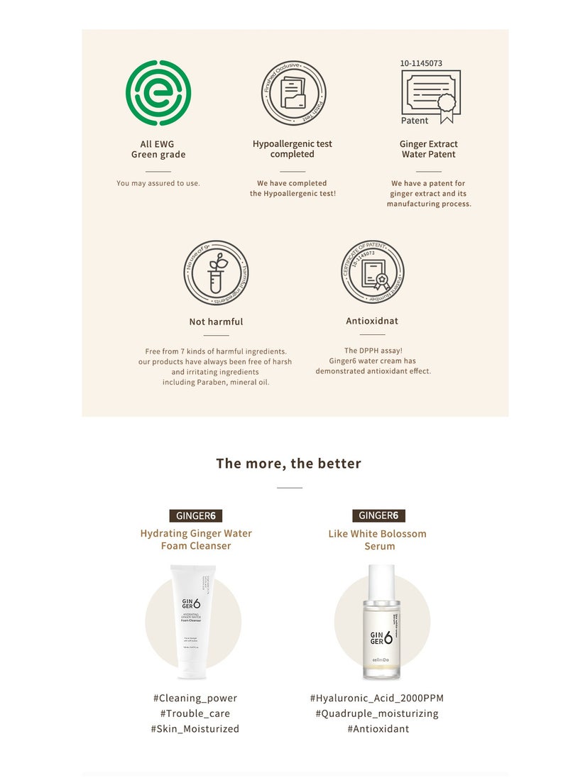 GINGER6 - Anti-Aging and Hydrating Facial Gel Moisturizer with Peptides, Hyaluronic Acid and Ginger Extract, Bouncy Lightweight Gel Formula, Natural Ingredients - GINGER6 Active Water Cream 50ml (1.69 fl.oz.) - Image 1