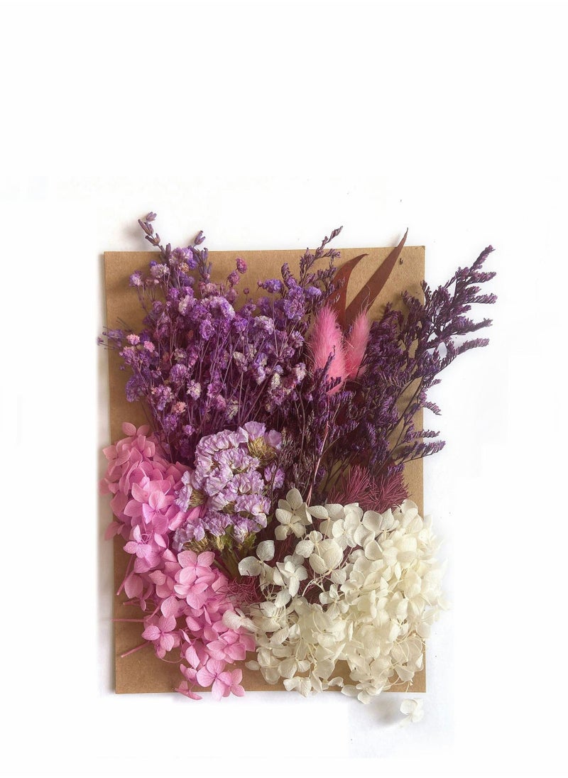 Generic Real Dried Leaf Flowers Plant Herbarium for Craft Jewelry Making DIY Art Crafts, Floral Decorations Candle Decoration Resin Jewelry Crafts Nails Decor Soap  - Image 1