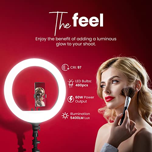 DIGITEK (DRL-18RT) Profesional LED Ring Light with Remote Control, Runs on AC Power with No Shadow apertures, Ideal use for Makeup Artist, Video Shoot, Fashion Photography & Many More - Image 2