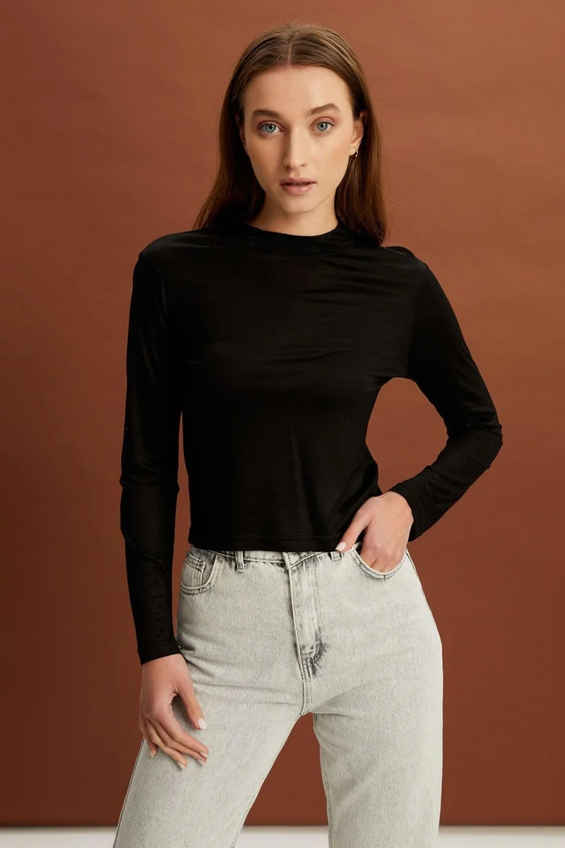 الكسندر جاردي Long Sleeve High Collar Top (B22-378A)
