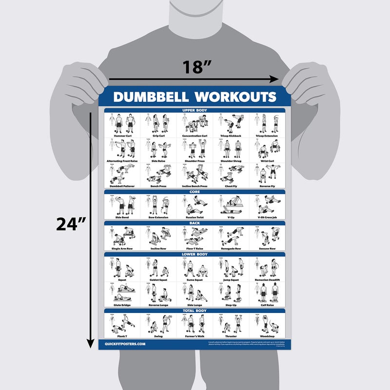 Palace Learning 4 Pack - Dumbbell Workout Posters Volume 1, 2 & 3 + Bodyweight Exercise Chart - Set of 4 Posters (LAMINATED, 18" x 24") - Image 3