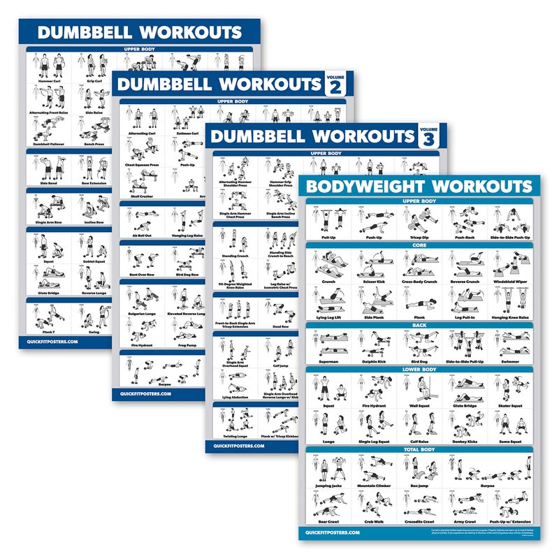 Palace Learning 4 Pack - Dumbbell Workout Posters Volume 1, 2 & 3 + Bodyweight Exercise Chart - Set of 4 Posters (LAMINATED, 18" x 24") - Image 2