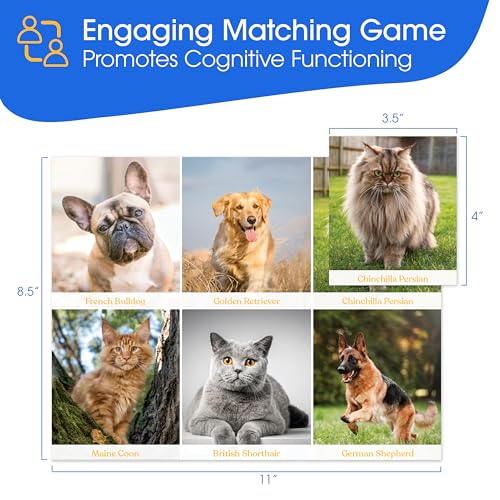 Keeping Busy Match The Photos with Fun Facts Set 2 Dementia Activities for Seniors Dementia Products for Elderly Alzheimers Products for Elderly Memory Games for Seniors Memory Games for Adults - Image 5