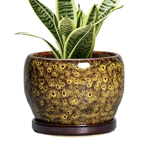 SQOWL 6 Inch Plant Pot - Ceramic Flower Pots with Drainage Hole and Saucer, Ceramic Planter for Indoor Plants Outdoor, Round Decorative Small Planter, Table Desk Decor, Housewarming Gifts, Yellow - Image 1