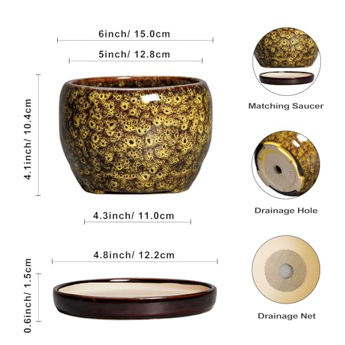 SQOWL 6 Inch Plant Pot - Ceramic Flower Pots with Drainage Hole and Saucer, Ceramic Planter for Indoor Plants Outdoor, Round Decorative Small Planter, Table Desk Decor, Housewarming Gifts, Yellow - Image 3