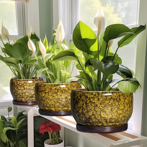 SQOWL 6 Inch Plant Pot - Ceramic Flower Pots with Drainage Hole and Saucer, Ceramic Planter for Indoor Plants Outdoor, Round Decorative Small Planter, Table Desk Decor, Housewarming Gifts, Yellow - Image 5