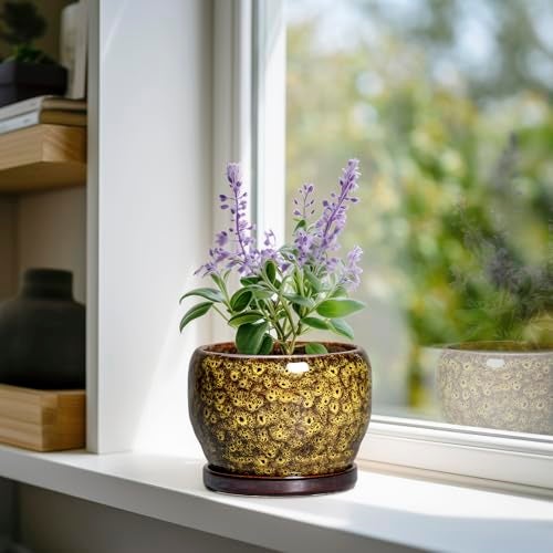 SQOWL 6 Inch Plant Pot - Ceramic Flower Pots with Drainage Hole and Saucer, Ceramic Planter for Indoor Plants Outdoor, Round Decorative Small Planter, Table Desk Decor, Housewarming Gifts, Yellow - Image 2