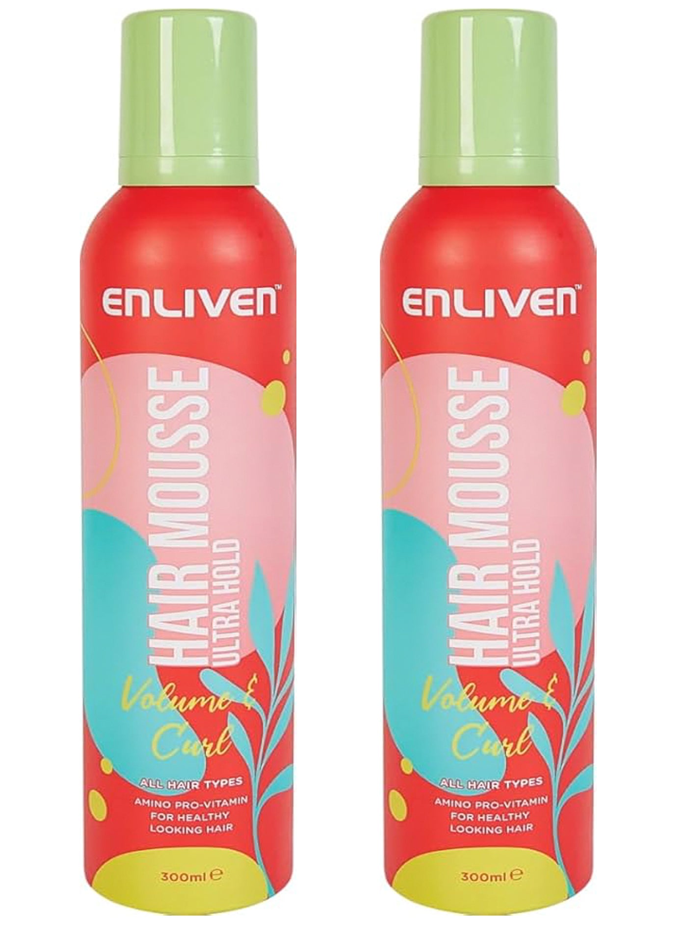 Enliven The Levine Ultra Hold Hair Mousse 2pc 600ml