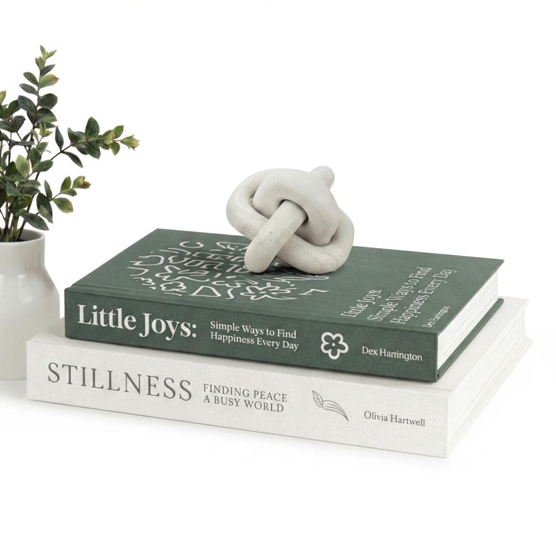 MESMOS Set of 2 Decorative Books for Home Decor, Coffee Table Books, Faux Book Storage Boxes for Bookshelf & Living Room, Home Decor, Hardcover Fake Book for Decoration, Mindfulness & Stillness Series - Image 1