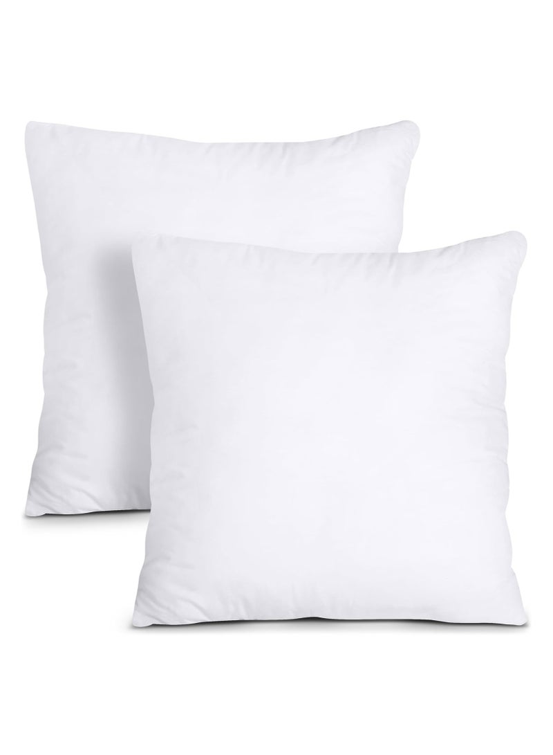 Beauenty Pillow Accent Insert,  65*65cm 2 Counts, White - Image 1