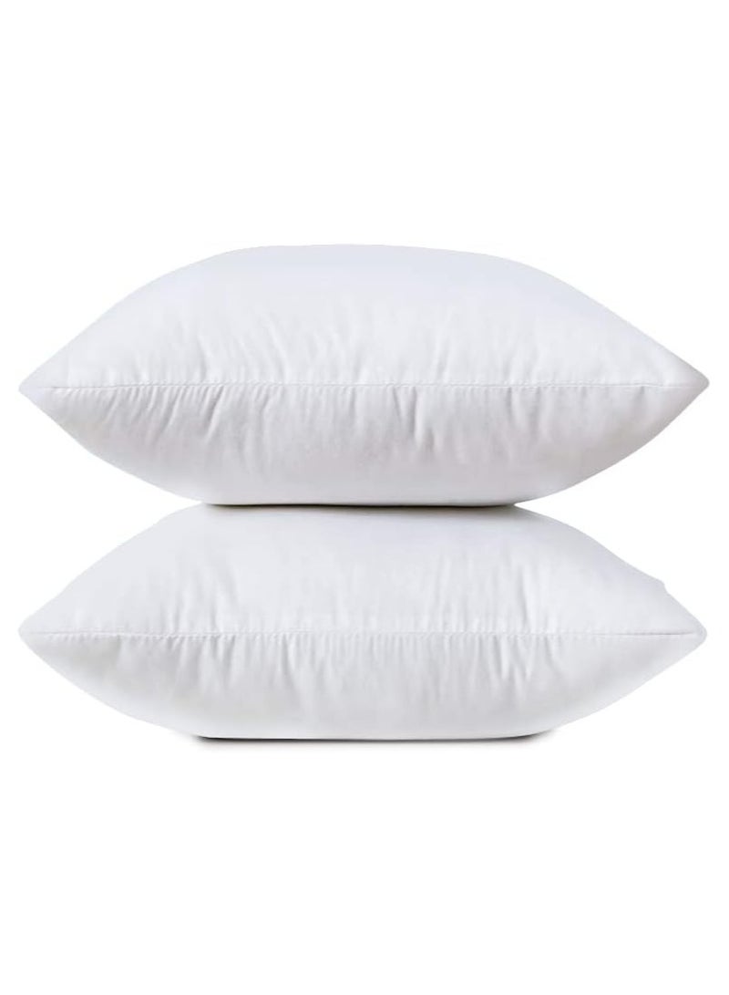 Beauenty Pillow Accent Insert,  65*65cm 2 Counts, White - Image 3
