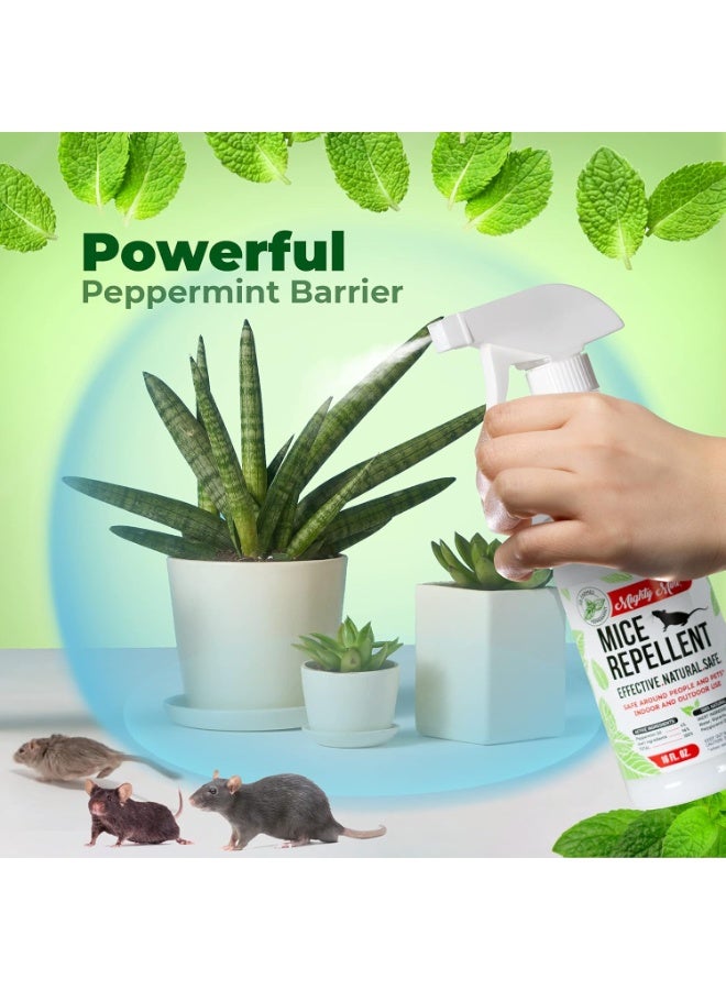 Mighty Mint - 16oz Peppermint Oil Mice Repellent Spray - Image 2