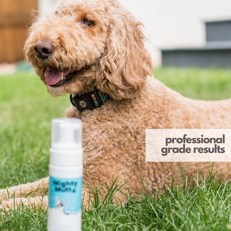 Mighty Mutt Hypoallergenic Waterless Shampoo for Dogs | Dry Shampoo for Dogs | Waterless Foam No Rinse | Anti-Itch, Soothing and Deodorizing | Fresh Breeze | 8 Fl Oz - Image 5