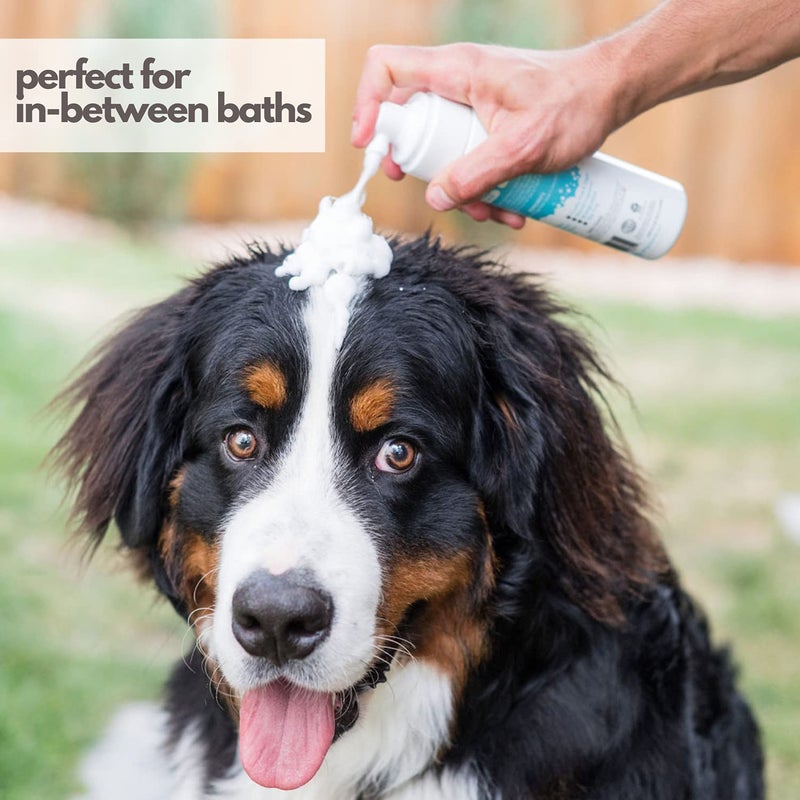 Mighty Mutt Hypoallergenic Waterless Shampoo for Dogs | Dry Shampoo for Dogs | Waterless Foam No Rinse | Anti-Itch, Soothing and Deodorizing | Fresh Breeze | 8 Fl Oz - Image 3