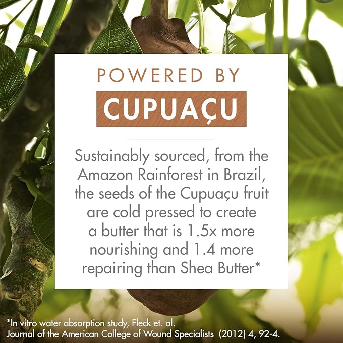 Klorane Nourishing And Repairing Shampoo With Organic Cupuau Butter 400Ml - Image 3