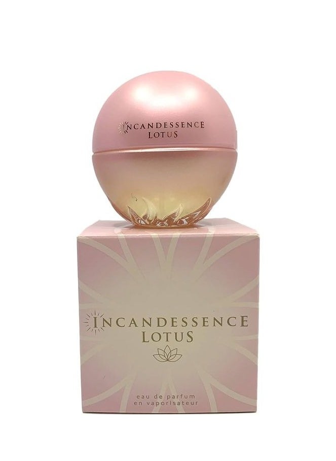 Incandessence Lotus 50ml Eau de Parfum - pzsku/Z070CD4145BC0B3B495B8Z/45/_/1738514858/f09174ca-5301-47ca-b104-e03f69b5d413