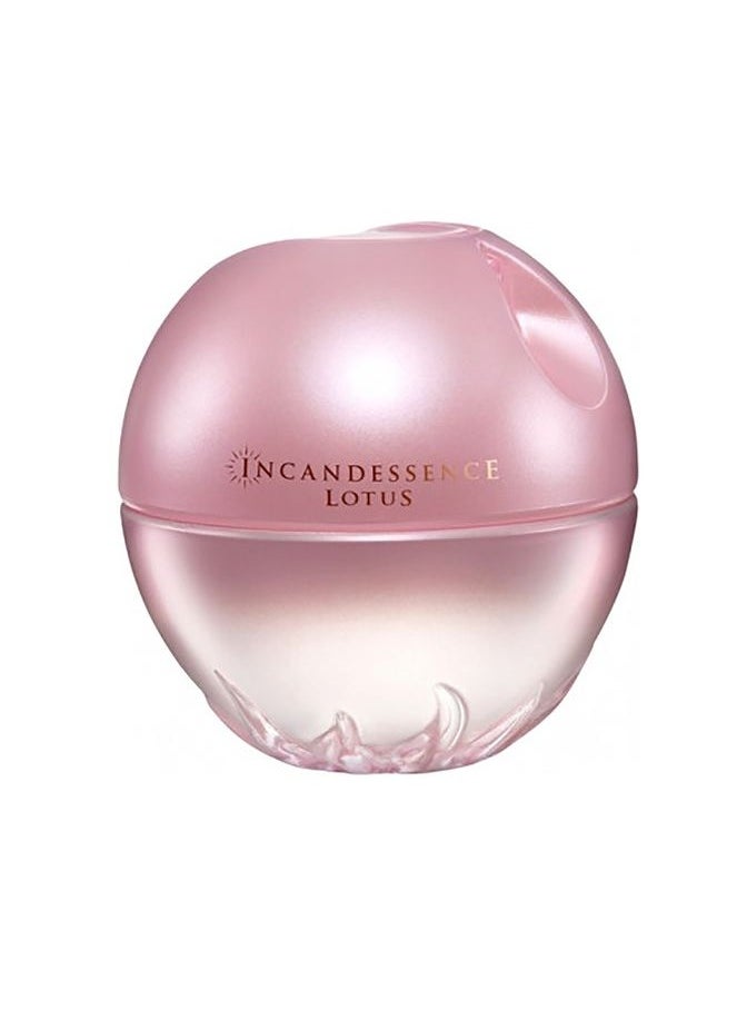 Incandessence Lotus 50ml Eau de Parfum - pzsku/Z070CD4145BC0B3B495B8Z/45/_/1738514868/5877db59-3d46-45fd-9695-025494dabc90