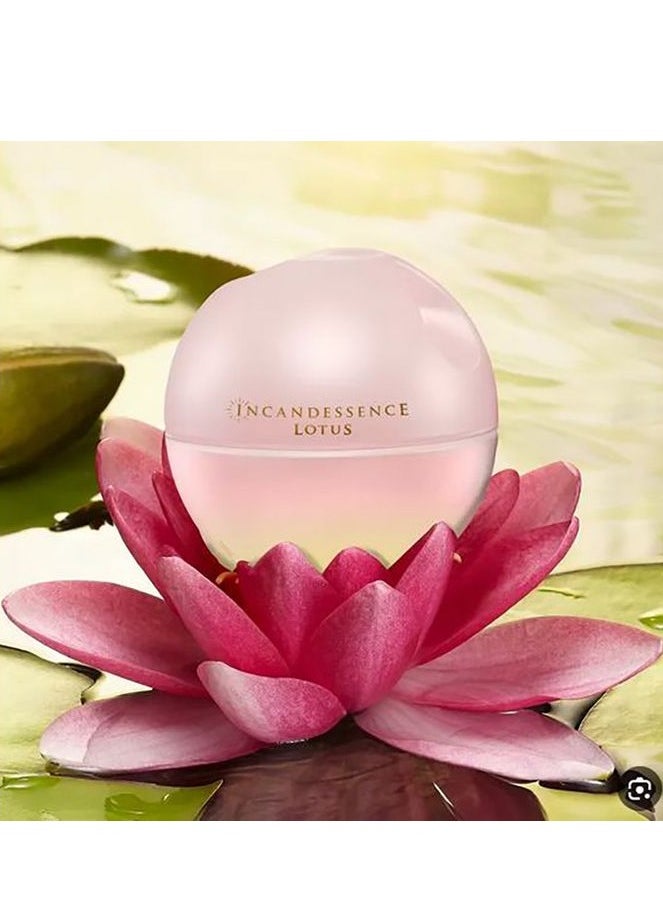 Incandessence Lotus 50ml Eau de Parfum - pzsku/Z070CD4145BC0B3B495B8Z/45/_/1738514999/f7950bcd-aaae-48f0-a8f6-3109fea70e4e