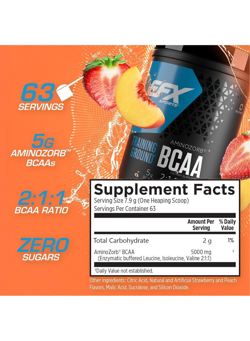 إي إف إكس سبورتس ترايننق قراوند بي سي اي اي - الفراولة والخوخ - (63 حصة) - Image 2