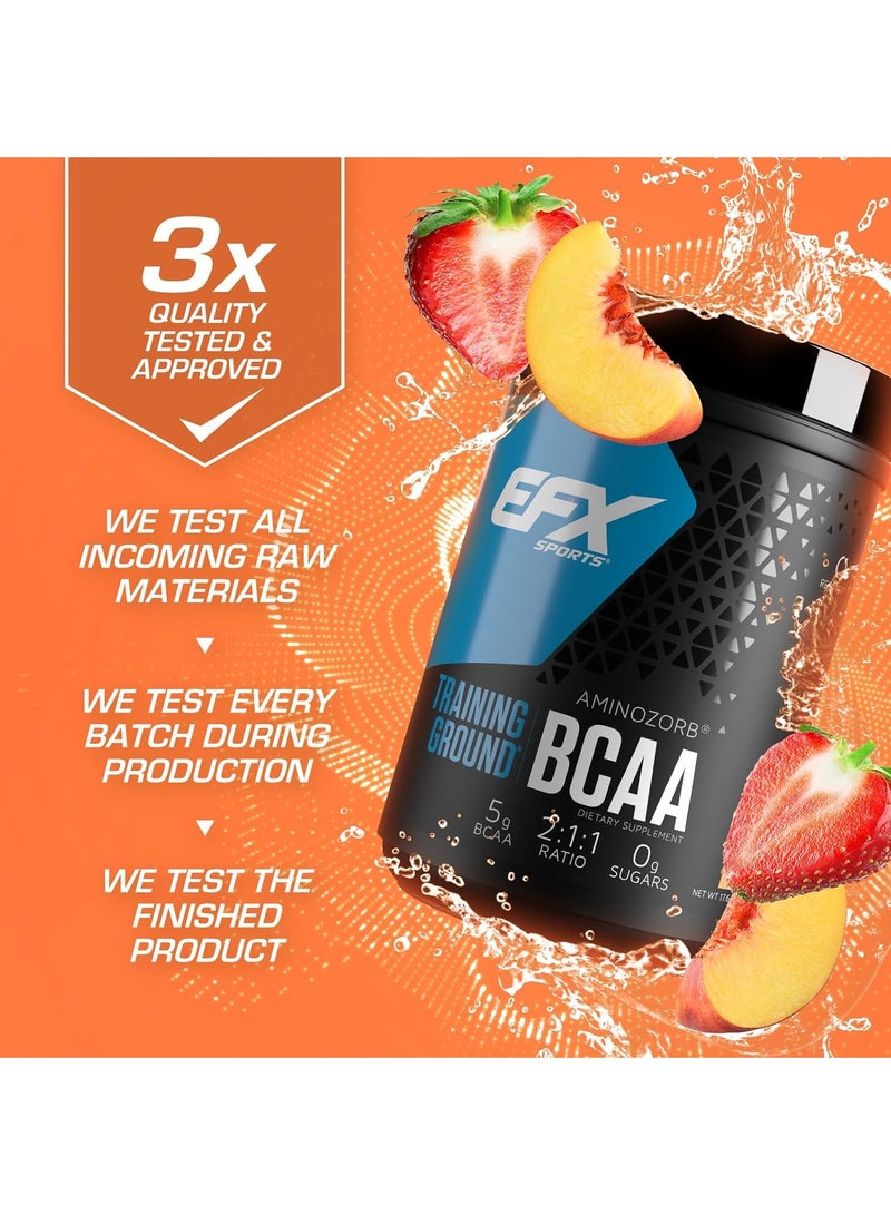 إي إف إكس سبورتس ترايننق قراوند بي سي اي اي - الفراولة والخوخ - (63 حصة) - Image 4