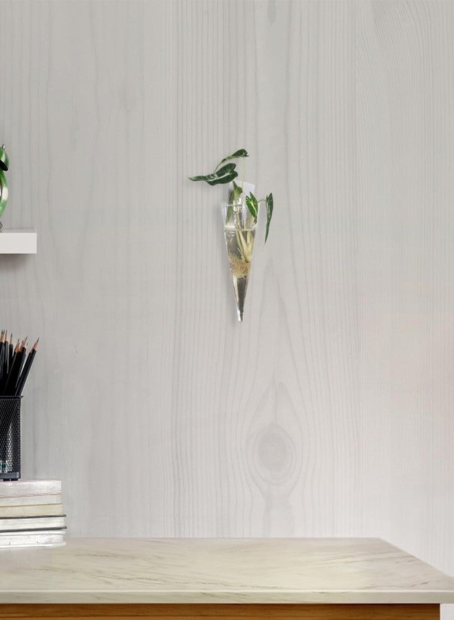 BESTOYARD 2 Pcs Wall-Mounted Vase, 6-Inches Cone Shape Transparent Hydroponic Planter for Flowers, Hanging Wall Decor for Home, Office, Balcony, and Indoor Spaces - Image 4