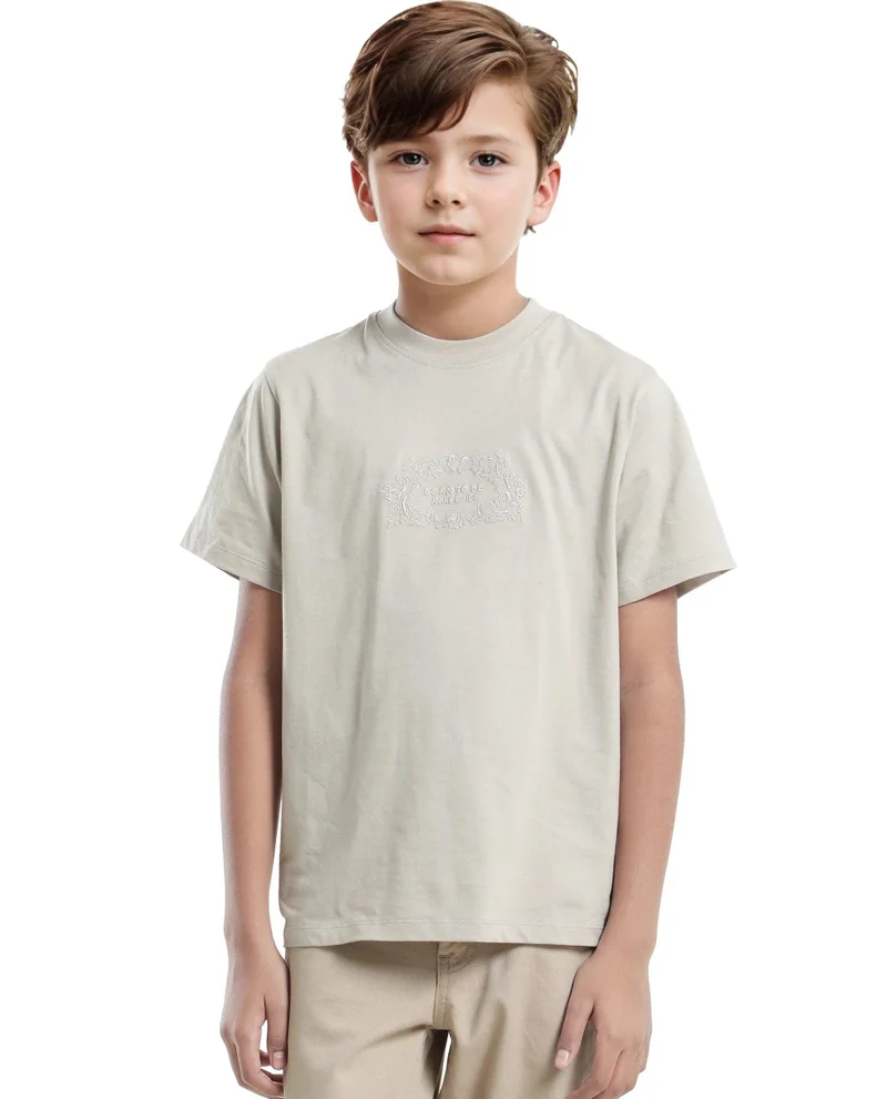 Rare Ones Rare Ones Kids Roxie Light Grey Cotton Half Sleeve Embroidered Slip-On Closure Regular Fit T-Shirt
