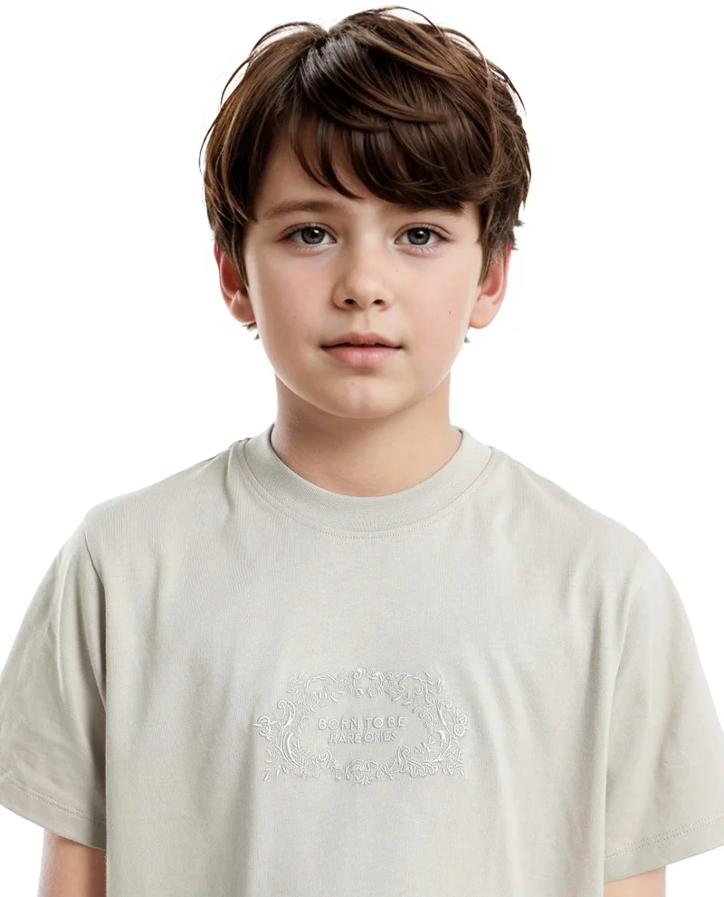 Rare Ones Rare Ones Kids Roxie Light Grey Cotton Half Sleeve Embroidered Slip-On Closure Regular Fit T-Shirt