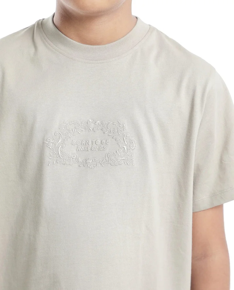 Rare Ones Rare Ones Kids Roxie Light Grey Cotton Half Sleeve Embroidered Slip-On Closure Regular Fit T-Shirt