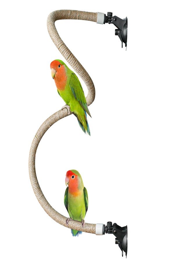 Marsrut Suction Cup Rope Bird Perch - Bendable Parrot Standing Toy for Climbing & Grinding, Engagement Toys for Window, Bath, Car, Travel, Birdcage Accessories for Small & Medium Bird - Image 1