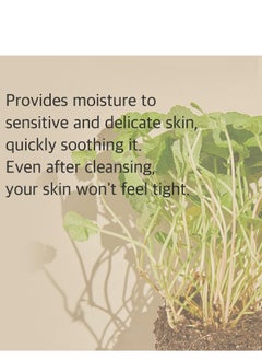 mixsoon mixsoon Centella Cleansing Foam 5.07 fl oz/ 150ml,Low pH cleansing foam for soothing and moisturization  - Image 4