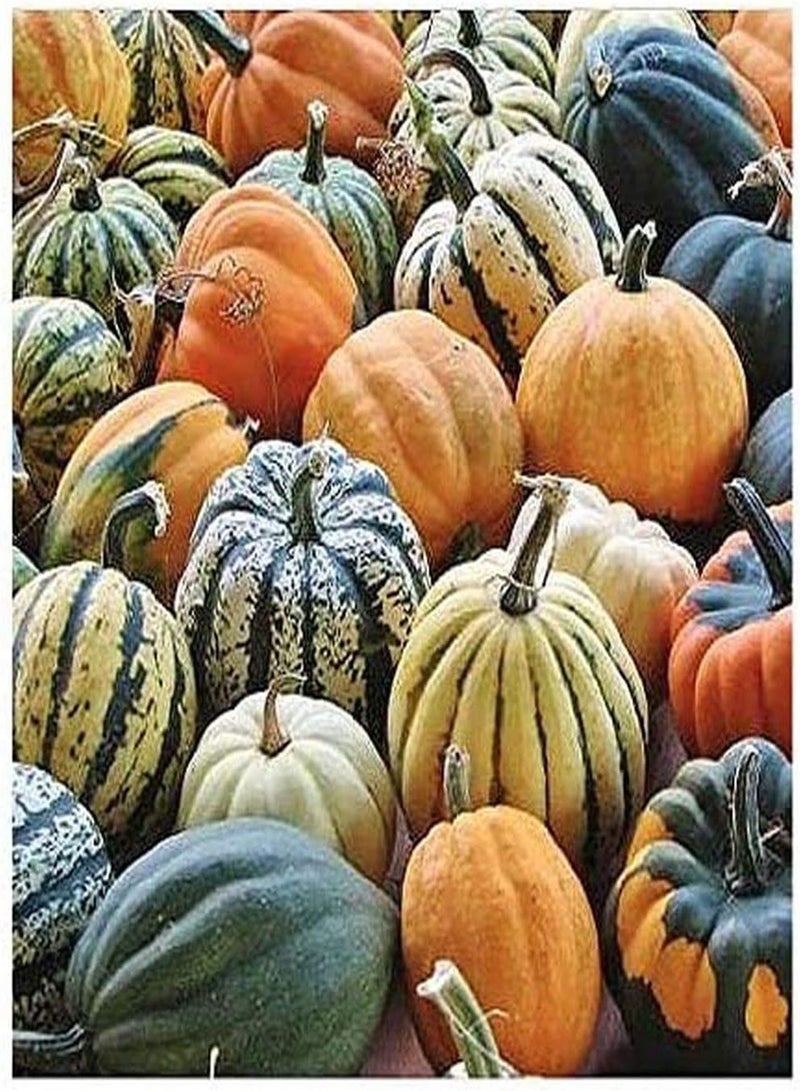 GGOOT 20Pcs Mix Pumpkin Seeds Small Squash Indoor Outdoor Decorations Idyllic Scenery Must-Have for Halloween Colorful Vegetables Easy Planting Popular with Families Children