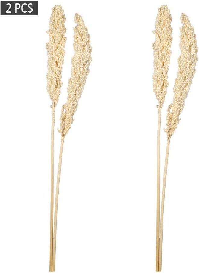 Yatai Pack Of 2 Natural Dried Sorghum Flower Spray Preserved Plants Flower Branches Wholesale Dried Flowers For Home Table Vase Centerpiece Festival Ornament Wedding Party Decoration (White) - pzsku/Z07140936FE7B9F28E149Z/45/_/1716820455/8fe091bf-177b-48a0-99dc-de36ecd27af9