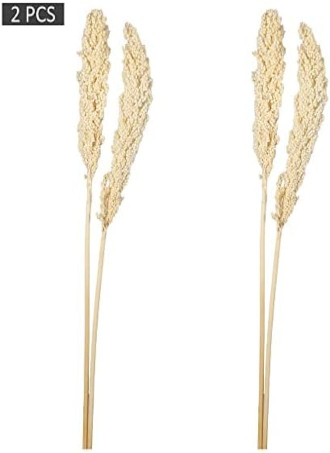 Yatai Pack Of 2 Natural Dried Sorghum Flower Spray Preserved Plants Flower Branches Wholesale Dried Flowers For Home Table Vase Centerpiece Festival Ornament Wedding Party Decoration (White) - pzsku/Z07140936FE7B9F28E149Z/45/_/1716820458/db0075fc-694e-4ba7-b288-90144c7fed51