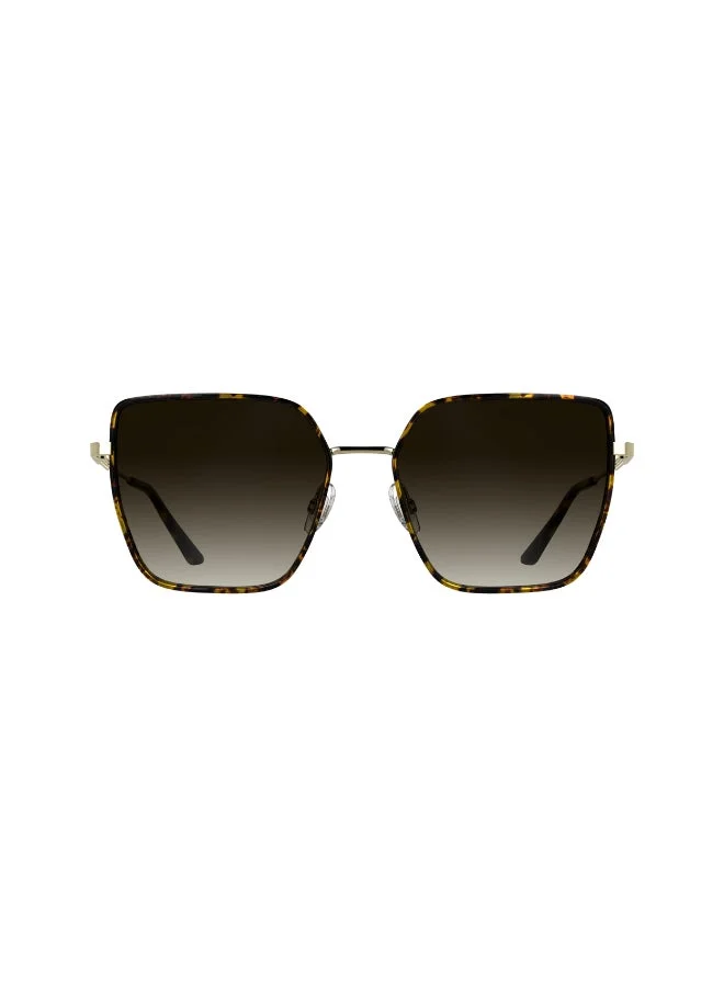 Calvin Klein  FULL RIM METALCALVIN KLEIN SUN CK25111S  | Best Price UAE