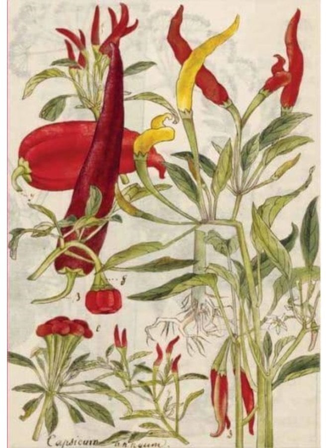 Chili Peppers Shiso Leaves Blank Hardcover Journal Blank Notebook with Ribbon Bookmark - Hardback