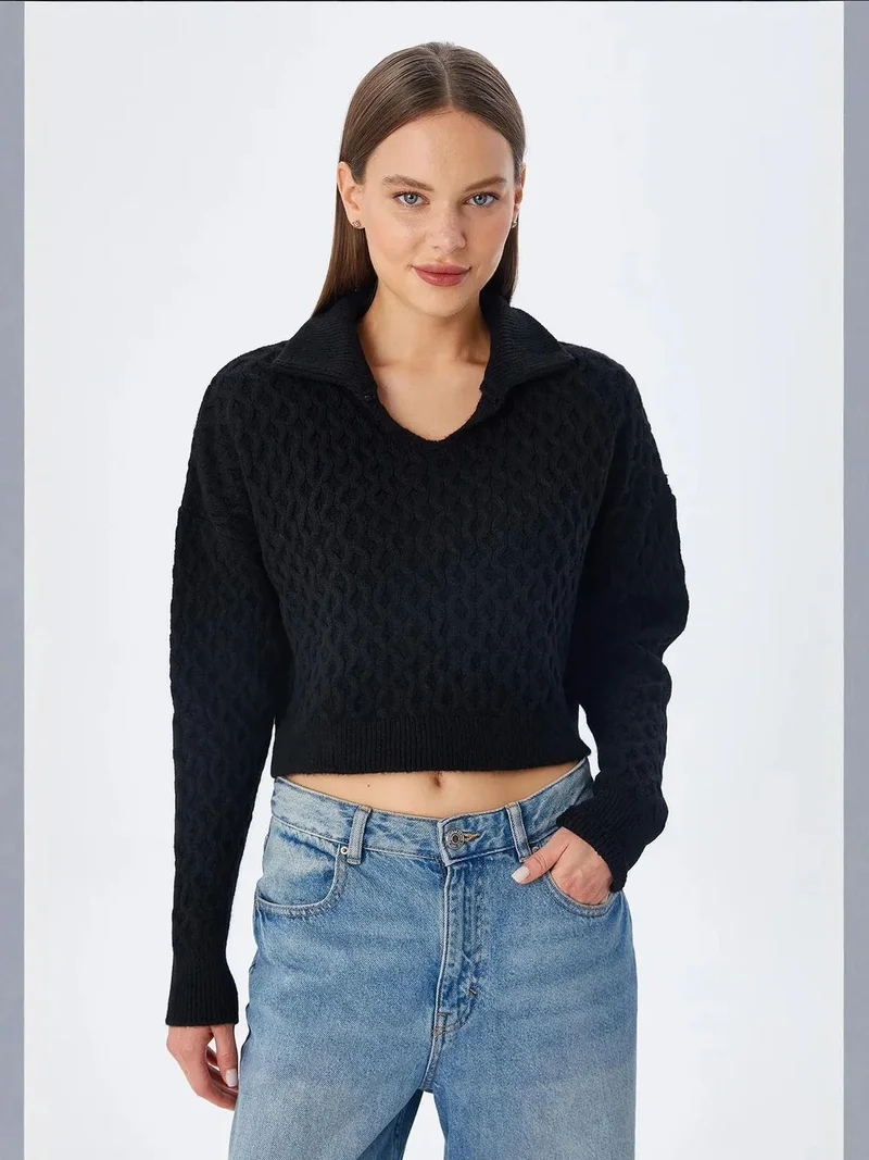 MixRay Mixray Relaxed Fit Crop Sweater with Shirt Collar