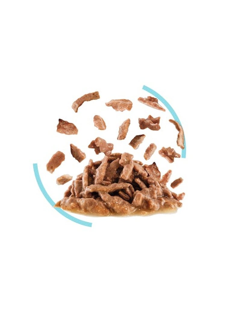 رويال كانين مرق فيلين هيلث نيوتريشن الحسي للقطط (طعام رطب - أكياس) 85 جرام - عبوة من 12 قطعة - Image 4