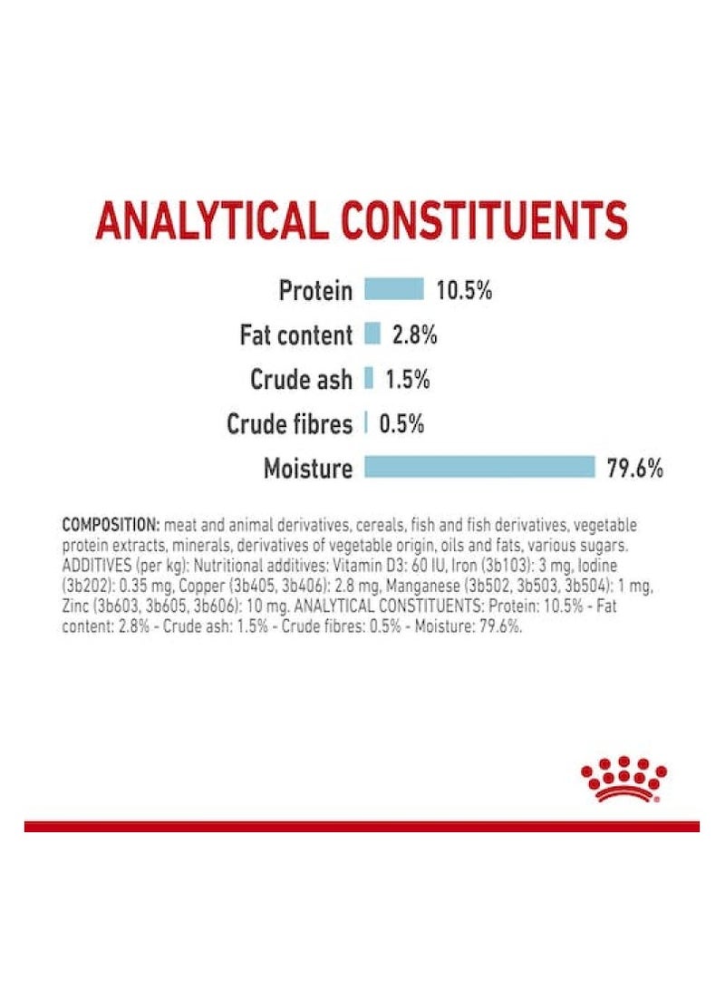 رويال كانين مرق فيلين هيلث نيوتريشن الحسي للقطط (طعام رطب - أكياس) 85 جرام - عبوة من 12 قطعة - Image 2