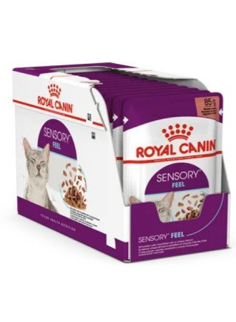 رويال كانين مرق فيلين هيلث نيوتريشن الحسي للقطط (طعام رطب - أكياس) 85 جرام - عبوة من 12 قطعة - Image 1