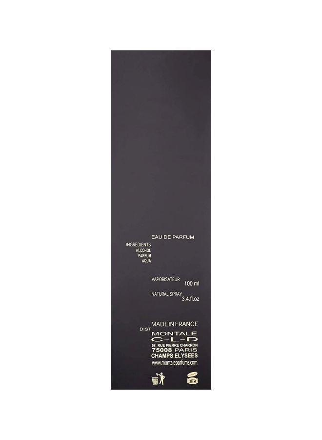 MONTALE Paris Black Aoud EDP Natural Spray 100ml - Image 4