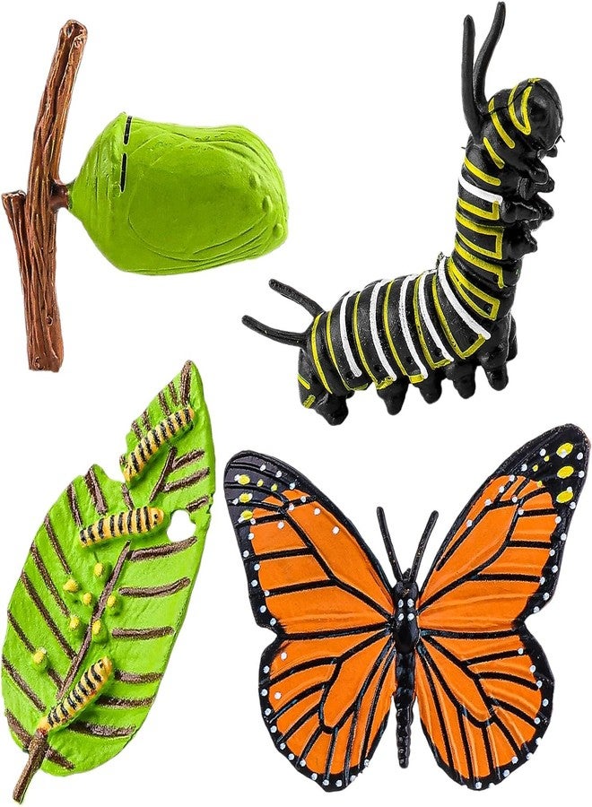 TARINI Insect Figurines Life Cycle of Butterflies Growth Model, 4 Pcs Preschool Learning Teaching Insect Growth Cycle Model Toy Realistic Animal Figures Education Stage Props - Image 1