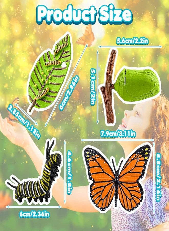 TARINI Insect Figurines Life Cycle of Butterflies Growth Model, 4 Pcs Preschool Learning Teaching Insect Growth Cycle Model Toy Realistic Animal Figures Education Stage Props - Image 2